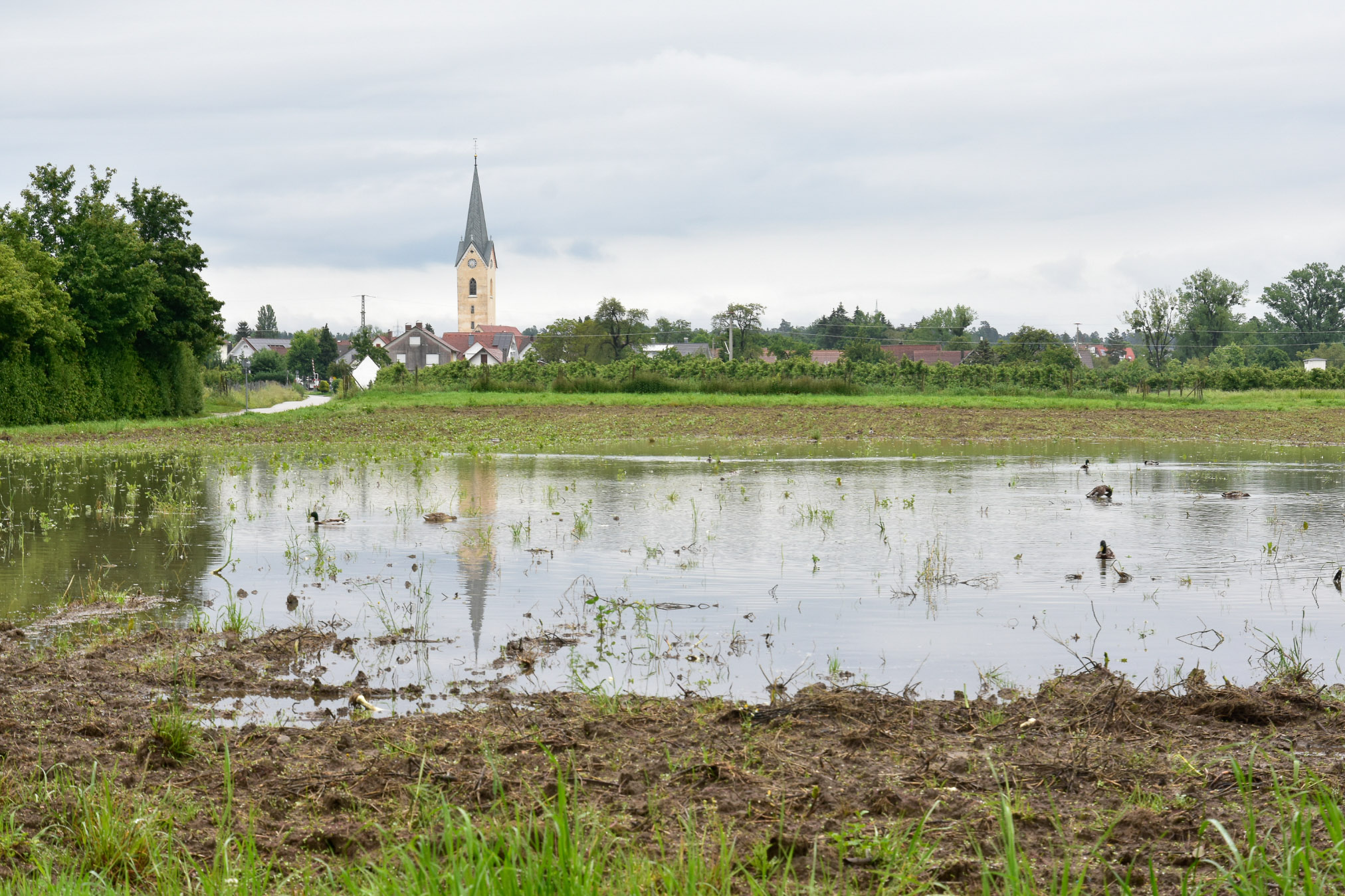 20240602073043 AOA0265